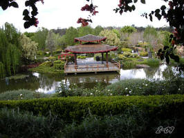 Hunter Valley Garden